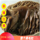 新鮮整個黑白毛肚千層牛百葉底板絲自助火鍋麻辣燙冒菜商用食材 整個黑毛肚5斤裝（凈含量50%）