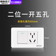 國際電工118型開關(guān)插座家用面板廚房暗裝15十五孔9九多孔墻壁電源五開 二位一開五孔【單雙控通用】