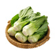 【高原夏菜】云南高原油菜500g