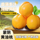 魯韻憶鄉(xiāng)桃子新鮮蒙陰黃桃黃金油桃水果當(dāng)季新鮮整箱山東脆桃黃油桃桃狀元 精品黃油桃2250g（單果2兩半起）