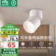 雷士（NVC）LED筒燈客廳可折疊旋轉(zhuǎn)免開孔明裝天花燈筒射一體鋁材9瓦白色暖白