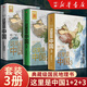 這里是中國3 華夏文明史詩 星球研究所 致敬新中國成立75周年 中華文明 文化遺產(chǎn) 典藏級國民地理書 這里是中國1+2+3套裝/單本可選中信出版社新華書店正版圖書 套裝：這里是中國1+2+3