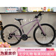 捷安特（GIANT）Liv麗以芙Alight2DDDisc女士平把16速通勤公路自行車  、烏梅紫醬700C×370MM XS  16速 700C x 16速