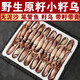籽烏滿(mǎn)籽海兔新鮮無(wú)沙海兔子章魚(yú)墨魚(yú)小管撈汁燒烤 原籽-籽烏99%帶籽 500g(凈重） 30只裝