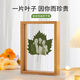 葉雕照片定制創(chuàng)意生日禮物定制七夕情人節(jié)禮物紀(jì)念定制高端定制 梧桐葉+塑封+6寸相框