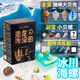 寶藏哆哆自然博物館恐龍咋沒的二代挖寶玩具盲盒無塵皂泥考古肥皂生日禮物 冰川海螺【金裝升級】贈送展示框