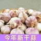 25年干蒜大蒜新鮮蒜 原產(chǎn)地農(nóng)家整箱糖蒜臘八蒜時(shí)令蔬菜半價(jià) 5斤 (凈重4,8斤) 4.0-5.0cm中果