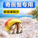 句可 寄居蟹專用沙珊瑚沙寄居蟹飼養(yǎng)沙螃蟹水族造景粗沙土菲律賓沙石 1斤