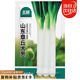 北蔬 大蔥種子種苗正宗山東鐵桿蔥蔬菜種籽 山東章丘大蔥種子1200粒