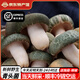 云南新鮮野生青頭菌 野生菌未開傘骨朵 綠頭菇精選級現(xiàn)貨順豐空運(yùn) 1kg野生青頭菌【優(yōu)選·未開傘】
