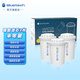 聚藍（bluetech） 三代理智F004家用直飲凈水器濾芯凈水壺長(cháng)效去水垢濾芯便攜過(guò)濾壺濾芯 F004理智濾芯一盒