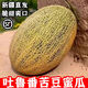 【新疆直發(fā)/順豐】正宗吐魯番苦豆蜜瓜當(dāng)季水果脆甜新疆哈密瓜86 2枚（共8-9斤裝）新疆空運(yùn)直發(fā)