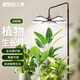 三思植物補(bǔ)光燈仿太陽室內(nèi)全光譜植物生長燈多肉補(bǔ)光燈展翅水草魚缸燈 【提速光合版】-240W全光譜