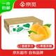 京覓黃桃水果蒙陰桃子新鮮黃金蜜桃 凈重3斤 單果150g+ 源頭直發(fā)