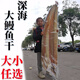 胖東來品質(zhì)特鰻魚干500g大整條漁民自曬咸魚干魚干干貨5成干 1008g2斤中號鰻魚干