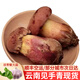 滇味十足云南見(jiàn)手青 好吃養生菌子菌火鍋珍稀新鮮野生菌紅蔥白蔥牛肝菌 【野生紅蔥見(jiàn)手青】精選500克