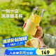 北鼎（Buydeem）茶水分離玻璃水杯高顏值車載便攜隨手杯辦公室泡茶杯鵝仔黃470ml