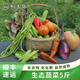 初土記新鮮蔬菜 自種時(shí)令蔬菜套餐 蔬菜組合 5斤裝【3-4種時(shí)令蔬菜】