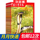 包郵 中國(guó)兒童畫(huà)報(bào)動(dòng)物大世界雜志雜志鋪全年訂閱 2025年9月起訂 1年共12期 幼兒科普讀物