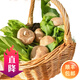 沈佳農(nóng)有機(jī)蔬菜新鮮蔬菜沙拉健康有機(jī)認(rèn)證源頭直發(fā)上海倉順豐送貨上門 有機(jī)蔬菜月卡每周一次5種菜共4次