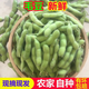 毛毛豆瓣2025今年新鮮現(xiàn)摘農(nóng)家毛豆現(xiàn)摘現(xiàn)發(fā)安徽農(nóng)家自種豆莢 鮮毛豆【2斤】新鮮現(xiàn)摘