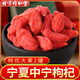北京同仁堂正宗寧夏枸杞特級子500g中寧免洗泡水特優(yōu)級特大紅狗紀(jì)無硫磺熏 500g[頭茬大果]250克*2罐 胖東來品質(zhì)枸杞寧夏原產(chǎn)