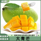 騎猴趕馬新鮮大青芒應(yīng)季時(shí)令水果【現(xiàn)摘現(xiàn)發(fā)】自家老樹(shù)甄選玉芒大青皮芒果 5斤【單果200g+】?jī)糁?.5斤 源頭直采