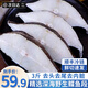 朵芙深海鰈魚段 蝶魚比目魚碟魚身鴉片魚切塊新鮮冷凍生鮮魚類 精選鰈魚段 1500g (凈重)