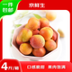 京鮮生新疆吊干杏 凈重4斤 單果12g+  生鮮水果 源頭直發(fā)包郵