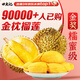 田良季泰國金枕榴蓮【JD/順豐-多地次日達】新生鮮金枕頭鮮果水果送禮 單果4-5斤【包4-5房】丨80%人選 【百里挑一】30年精選樹果丨出肉率高