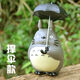 接運貓宮崎駿龍貓小梅生日禮物公仔模型書(shū)桌汽車(chē)擺件車(chē)內裝 12厘米撐傘款龍貓送膠