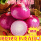 胖DL東來(lái)高品質(zhì)水果洋蔥甜味生吃新鮮紫皮洋蔥9斤洋蔥頭小圓蔥毛 3斤