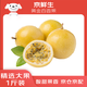 京鮮生 黃金百香果 1斤裝 約6-8粒 單果約70g 酸甜欽蜜 生鮮水果