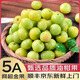 鮮利星油柑果【順豐JD】新鮮水果余甘果牛甘子橄欖孕婦鮮果榨汁生鮮 500g凈重裝（產(chǎn)地大果）