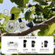 蒂普提克（Diptyque）希臘無(wú)花果香調(diào)發(fā)香噴霧30ml 香氛 生日禮物七夕情人節(jié)禮物送女友