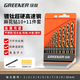 綠林（GREENER）麻花鉆頭套裝頭鋁合金混凝土打孔金屬套裝手電鉆 工業(yè)塑盒10件套