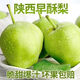 陜西早酥梨青皮梨新鮮水果梨子當(dāng)季現(xiàn)摘綠梨水晶青酥梨脆甜雪梨 凈重2.5斤以上（單果150g）