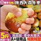 陜西大荔冬棗【順豐多地次日達】冰糖脆甜棗子新鮮水果禮盒應季 力薦果王【20-50g】蕞大蕞甜 5斤【特實(shí)惠80%人選】 凈4.8-5斤