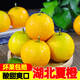 柏果相依湖北夏橙 當(dāng)季秭歸高山手剝酸甜橙子新鮮水果血多汁冰糖臍  可選 9斤 60mm以下(實惠)