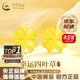 中國(guó)黃金（CHINA GOLD）黃金耳釘女足金四葉草耳釘純金耳飾首飾七夕情人節(jié)生日禮物送女友 【京速達(dá)】足金耳釘【一對(duì)】約0.8-0.9g