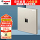 羅格朗（LEGRAND）開(kāi)關(guān)插座面板 仕典米蘭金無(wú)邊框 一位電腦/網(wǎng)絡(luò)插座（超五類）