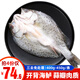 泰明揚三去開(kāi)背海鱸魚(yú)（去鱗去腮去內臟）新鮮冷凍鱸魚(yú) 海鮮魚(yú)類(lèi) 400-450g/條