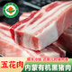 【豬肉】有機(jī)黑豬肉 豬排骨肋骨 五花梅花肉內(nèi)蒙高山散養(yǎng)生鮮豬肉 【有機(jī)黑豬五花肉500g4袋】