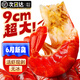 海皇灣特級小龍蝦尾生鮮冷凍批發(fā)整箱特大號無冰麻辣蒜蓉新鮮速凍蝦球 特級3斤裝（凈重）