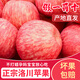 洛川蘋果洛川紅富士蘋果陜西特產(chǎn)時令生鮮水果產(chǎn)地直發(fā) 健康輕食 10斤大果80-85mm（凈重8.5斤）