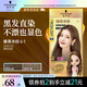 施華蔻（Schwarzkopf）斐絲麗黑發(fā)直染染發(fā)霜6-1榛果米棕 染發(fā)劑染發(fā)膏潮流色 免漂彩染