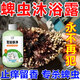 【專(zhuān)殺蜱蟲(chóng)】狗狗沐浴露驅蟲(chóng)持久除臭清潔止癢除螨洗護一體留香 1瓶【驅蟲(chóng)沐浴露】