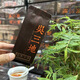 吳山地水仙武夷巖茶水仙袋裝小袋裝大紅袍茶葉武夷山散裝陳年水仙 一盒250克30泡