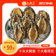江船長 冷凍大鮑魚 凈重400g 10粒袋裝 火鍋食材 燒烤 貝類生鮮 