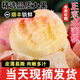 初燦無錫水蜜桃新鮮白桃子當(dāng)季水果甜脆毛桃水果禮盒 品質(zhì)精選12枚 超值裝皮薄肉脆